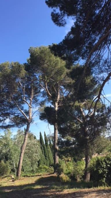 Mazet Provencal Au Coeur Des Alpilles La Reverie Maussane-les-Alpilles Exterior photo